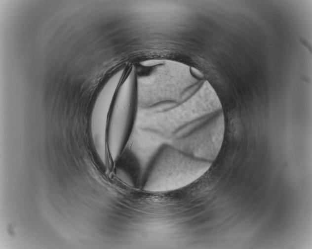 X0000098150498200805151208