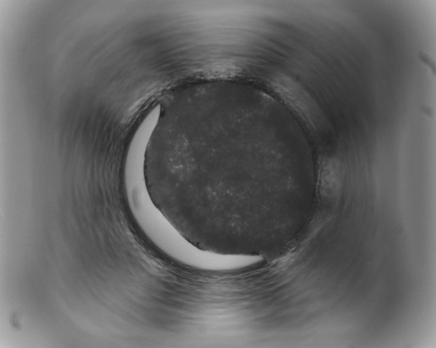 X0000098150501200805151208