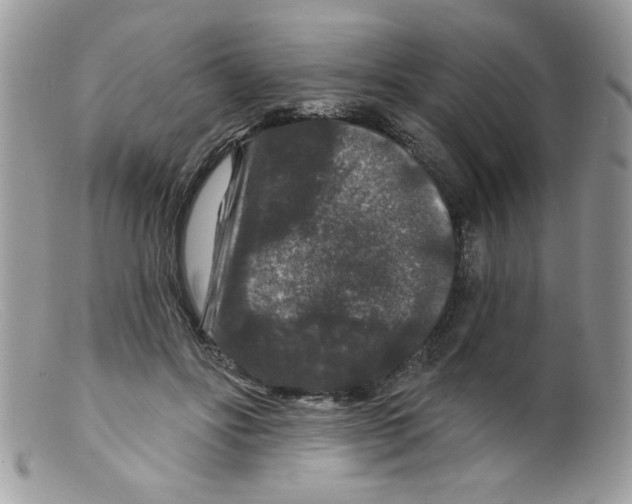 X0000098150502200805151208