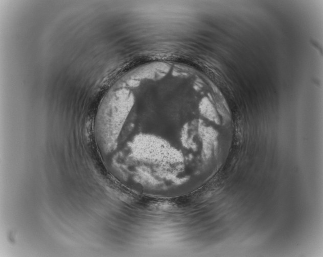 X0000098150503200805151208