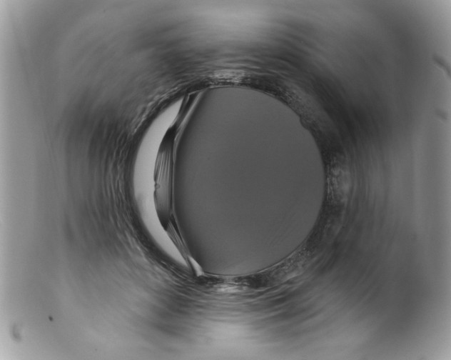 X0000098150504200805151208