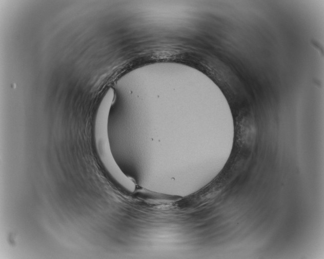 X0000098150505200805151208
