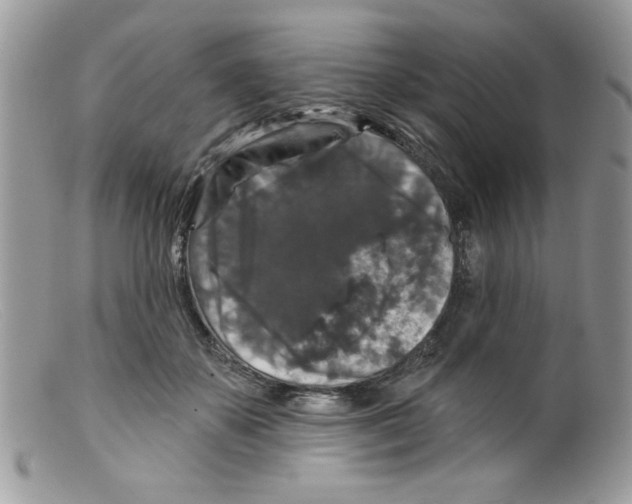 X0000098150507200805151208