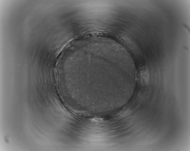 X0000098150508200805151208