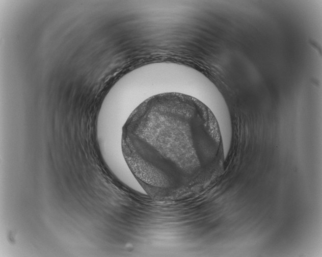 X0000098150511200805151208