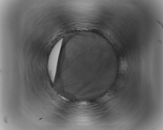 X0000098150513200805151208