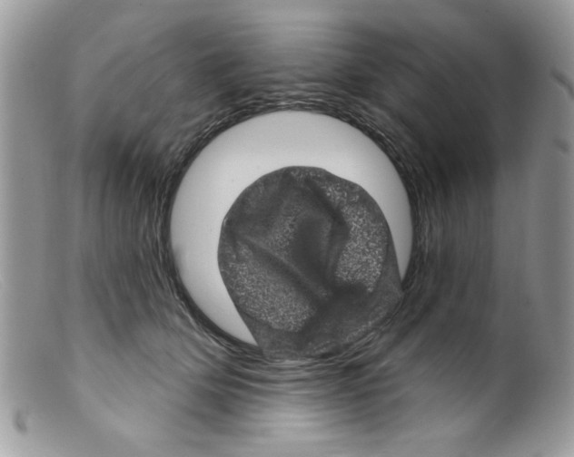 X0000098150514200805151208