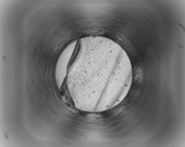 X0000098150515200805151208