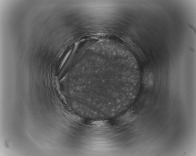 X0000098150516200805151208