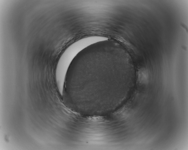 X0000098150517200805151208