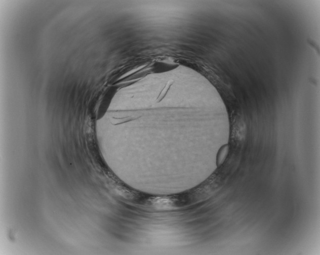 X0000098150518200805151208