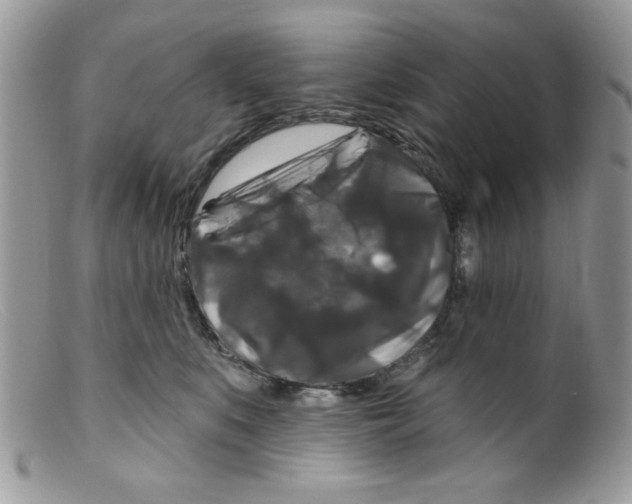 X0000098150519200805151208