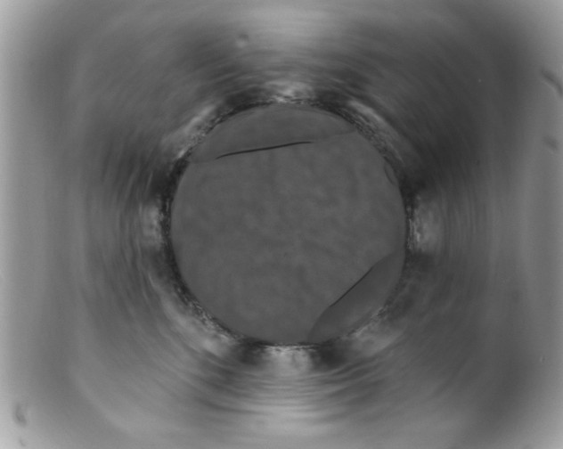 X0000098150520200805151208