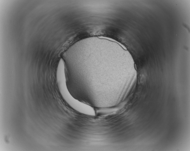 X0000098150521200805151208