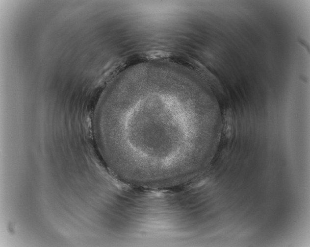 X0000098150523200805151208