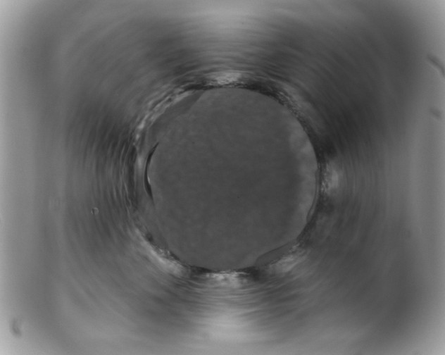 X0000098150524200805151208
