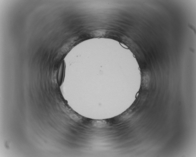 X0000098150525200805151207
