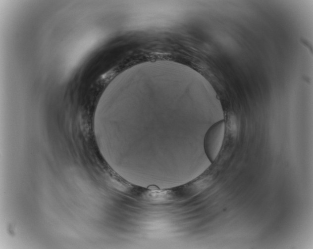 X0000098150526200805151207