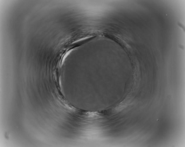 X0000098150528200805151207