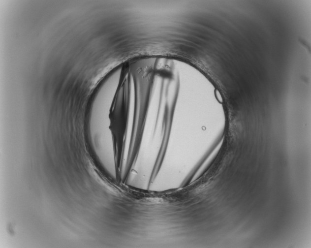 X0000098150530200805151207