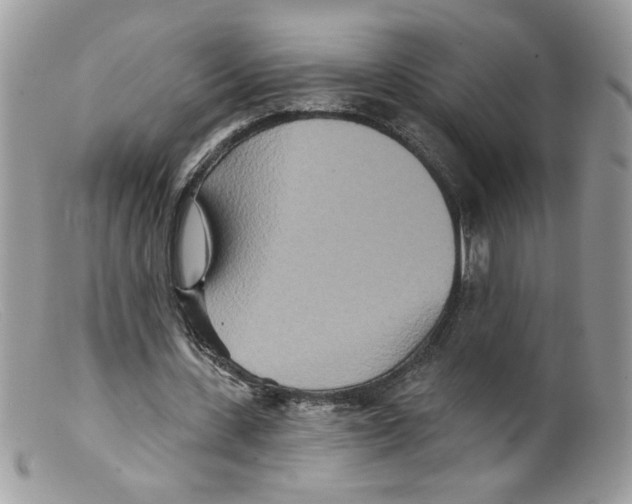 X0000098150531200805151207