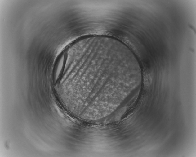 X0000098150532200805151207