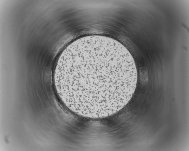 X0000098150534200805151207