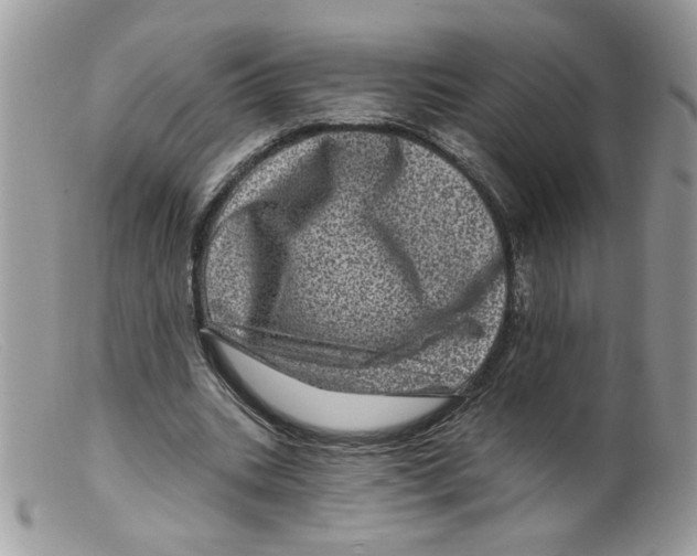 X0000098150535200805151207