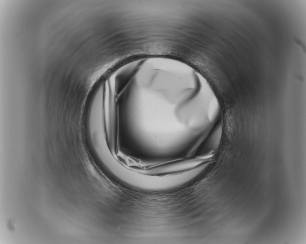 X0000098150536200805151207