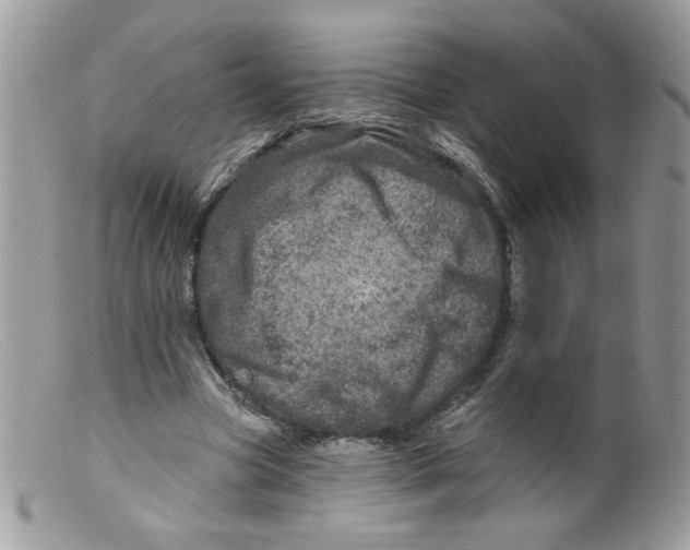 X0000098150537200805151207