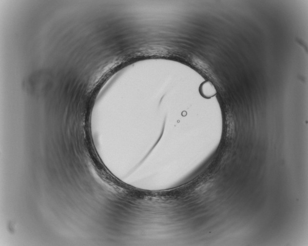 X0000098150538200805151207