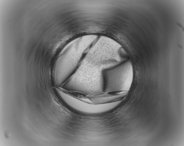 X0000098150539200805151207