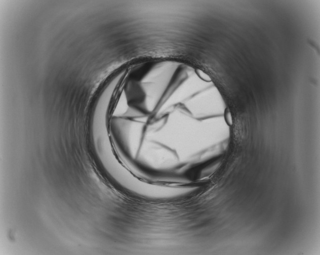 X0000098150540200805151207