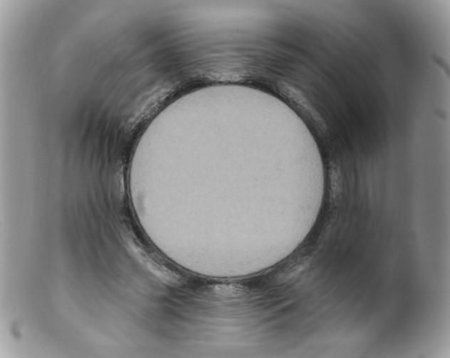 X0000098150541200805151207