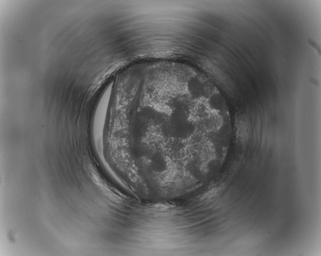 X0000098150542200805151207