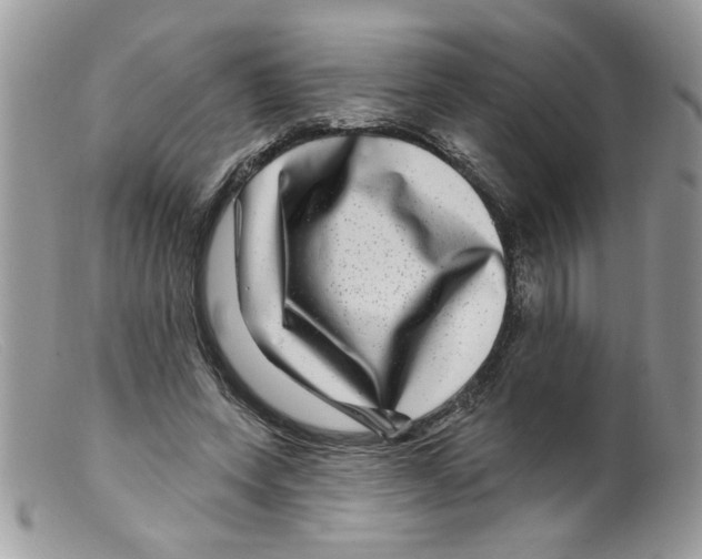 X0000098150543200805151207