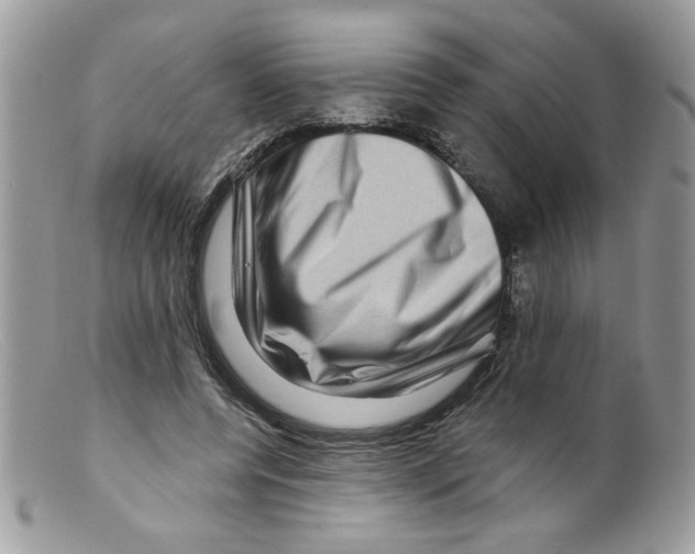 X0000098150544200805151207