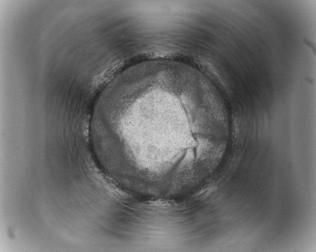 X0000098150545200805151207