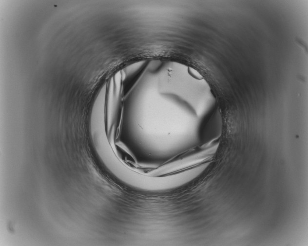X0000098150546200805151207