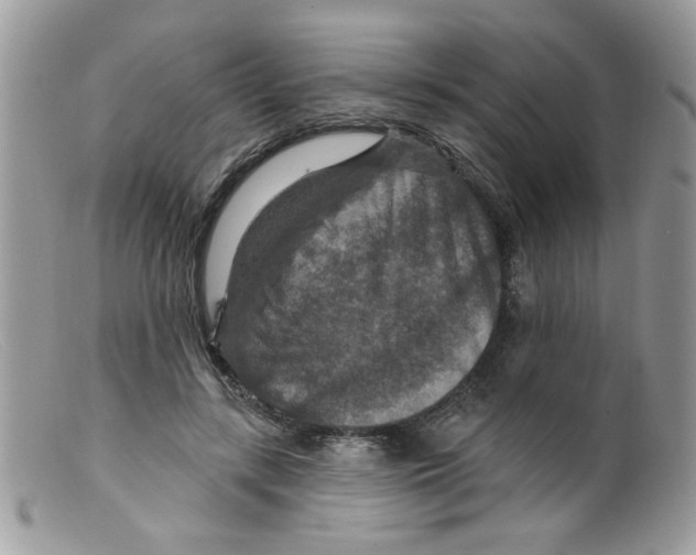 X0000098150547200805151207
