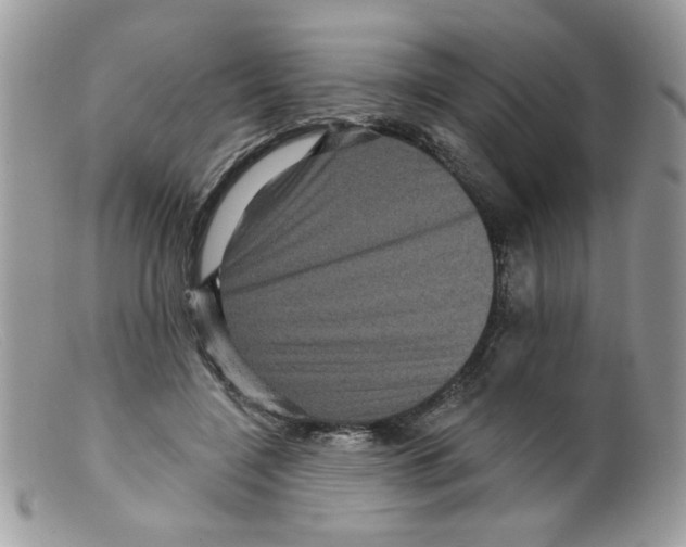 X0000098150548200805151207