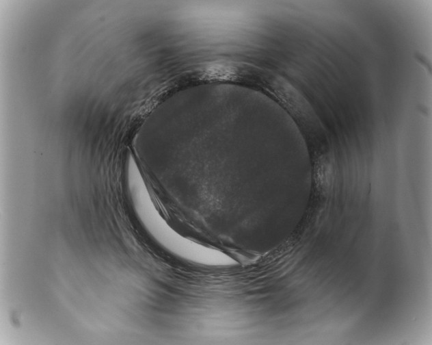 X0000098150551200805151207