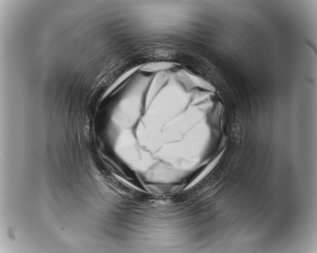 X0000098150552200805151207