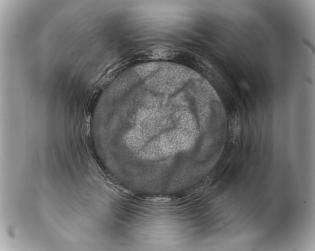 X0000098150554200805151207