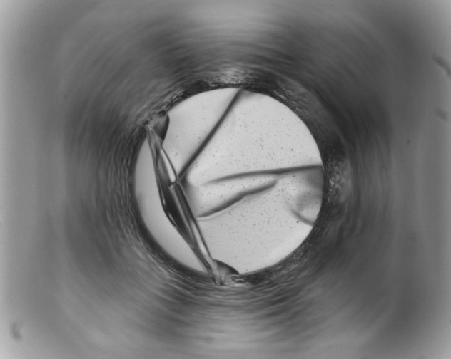 X0000098150555200805151207
