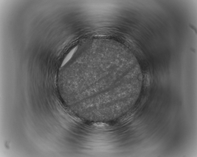 X0000098150557200805151207