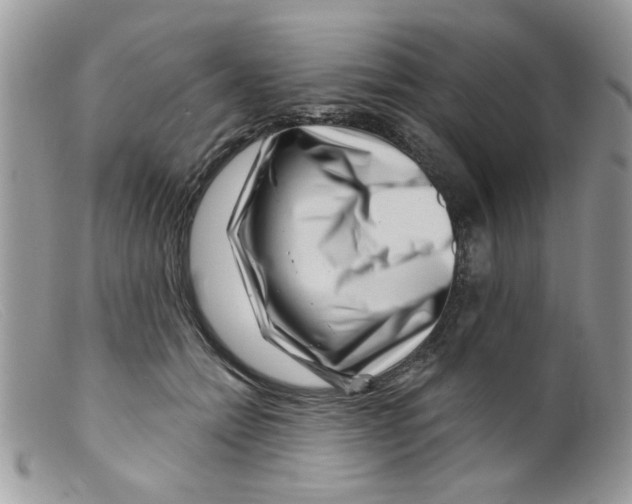 X0000098150558200805151207