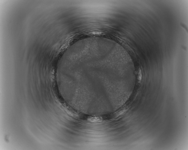 X0000098150559200805151207