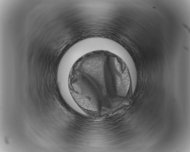 X0000098150560200805151207