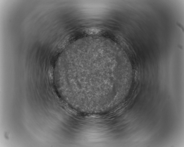 X0000098150561200805151207